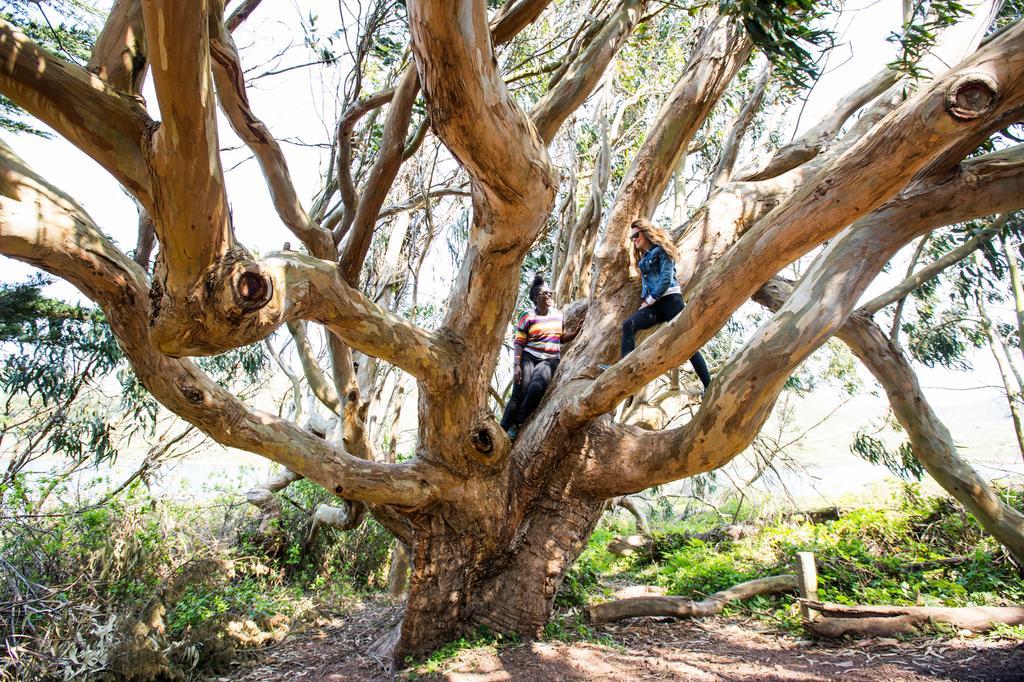 Hi Marin Headlands Hostel ซอซาลิโต ภายนอก รูปภาพ