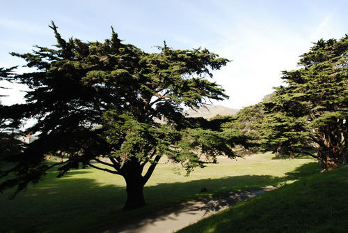 Hi Marin Headlands Hostel ซอซาลิโต ภายนอก รูปภาพ